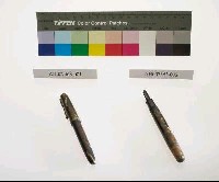 賽璐璐鋼筆藏品圖，第12張